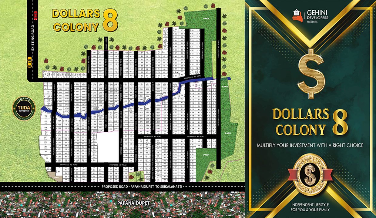 Dollars 8 Colony in PapaNaidupeta Renigunta